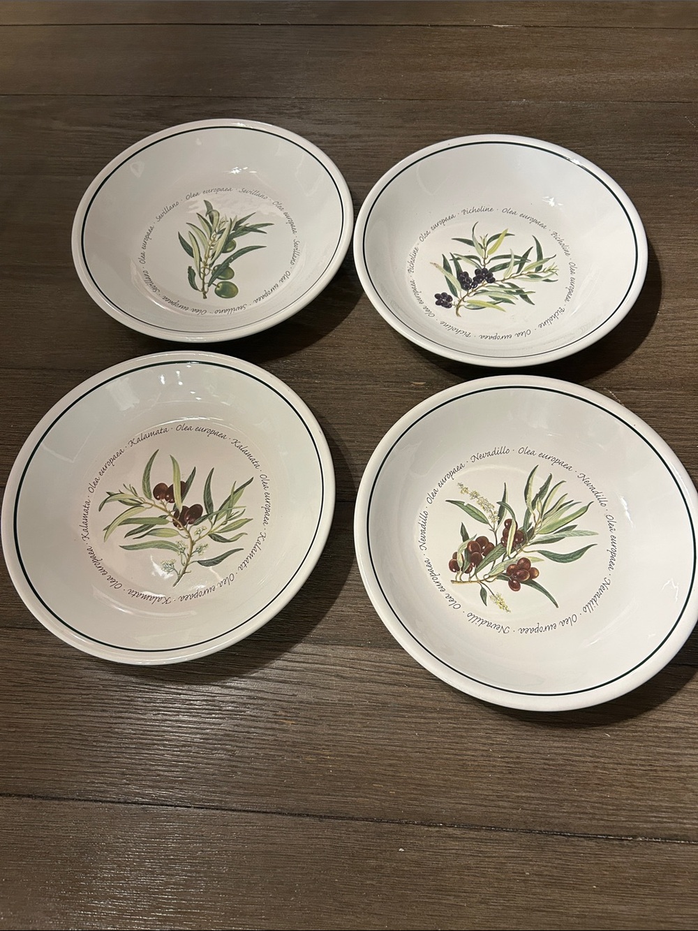 Williams Sonoma olive design serving bowls 9 1/2” set of 4 Olea botanical design